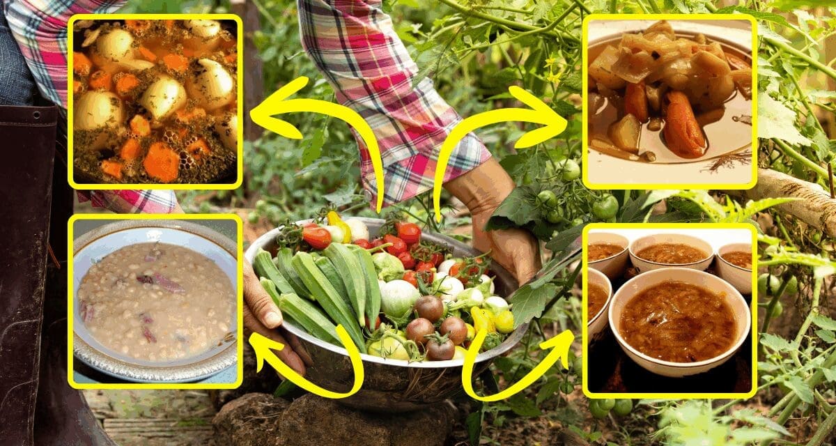 5 Healthy Harvest Soup Recipes