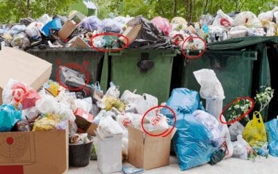 Why Are You Still Throwing THIS Away?